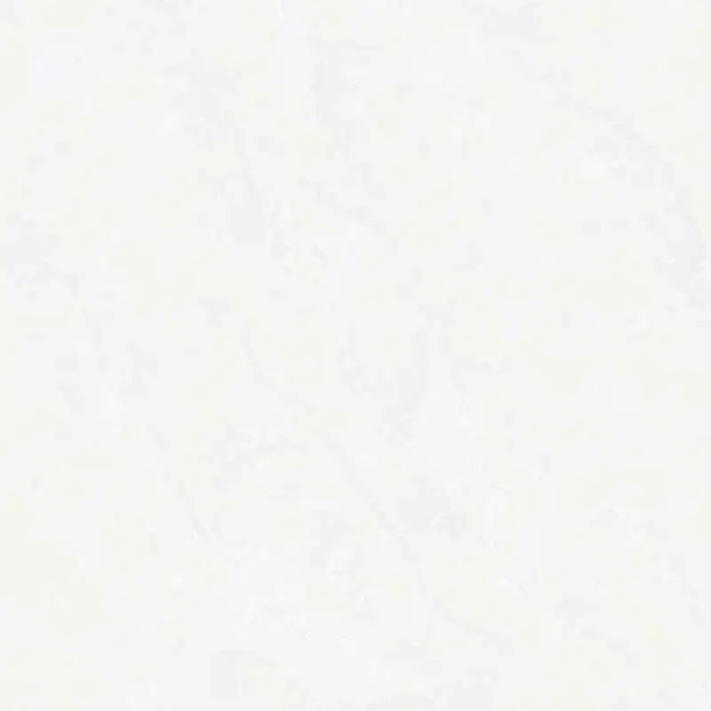 سرامیک کف پاناتایل مدل دلانا سفید سایز 100 در 100