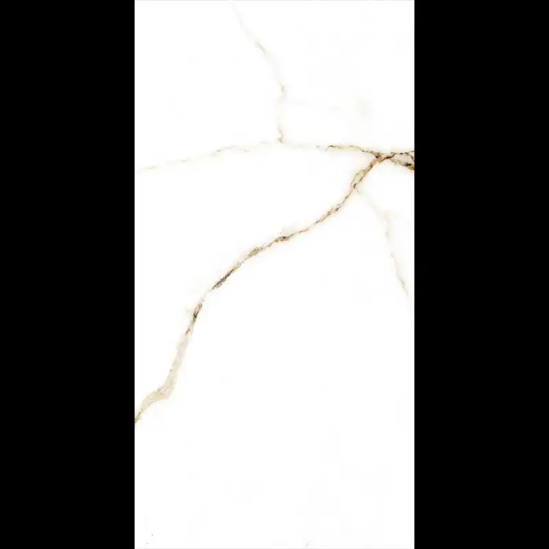 سرامیک دیوار ایفا سرام مدل کاترینا سفید نانو سایز 60 در 120